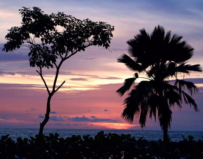 Cartagena: Rosario Islands Private Boat Tour - Cholón Party Island Stop: Drinks and Pictures with a Local Flavor