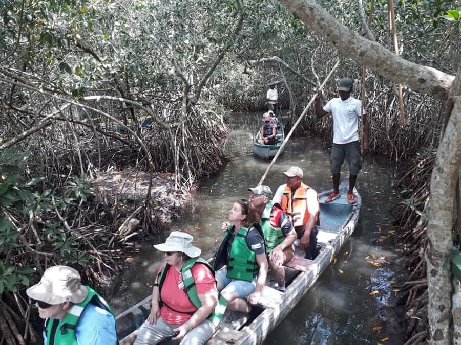 Cartagena: Sail in the mangroves of Cartagena - Key things to know before you go