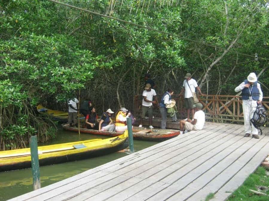 Cartagena: Sail in the mangroves of Cartagena - Price ($23) and what you’re really paying for