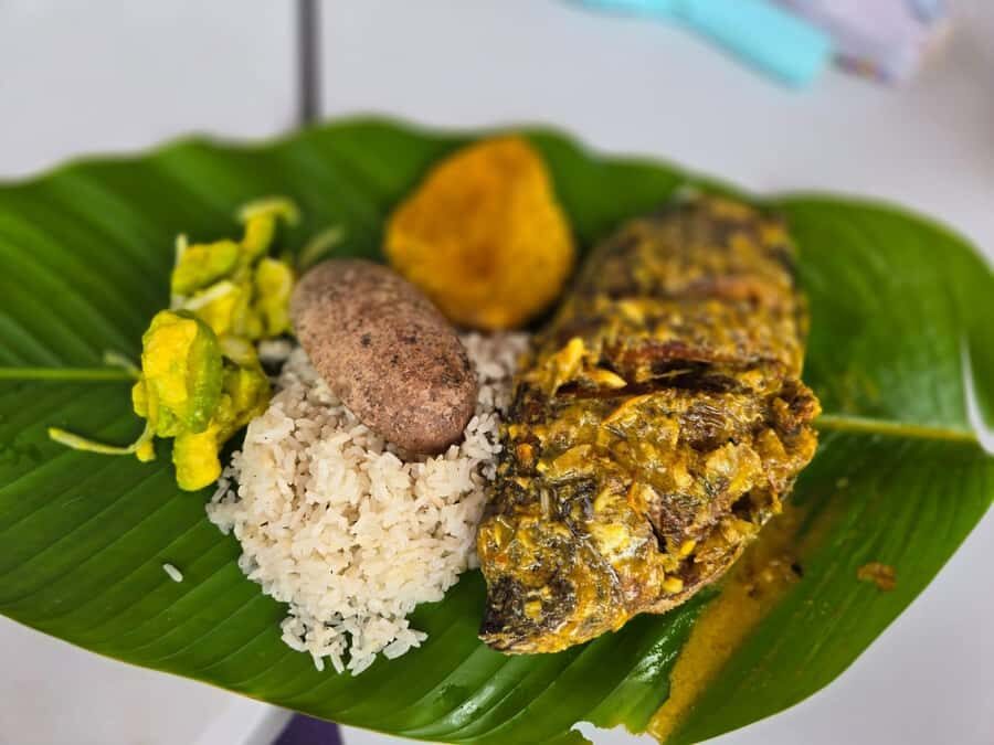 Cartagena: San Basilio de Palenque Guided Day Trip - Key Things to Know Before You Go