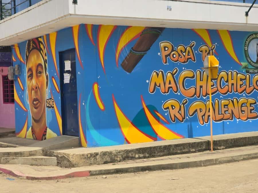 Cartagena: San Basilio de Palenque Guided Day Trip - Price and Value: Is $92 Worth It?