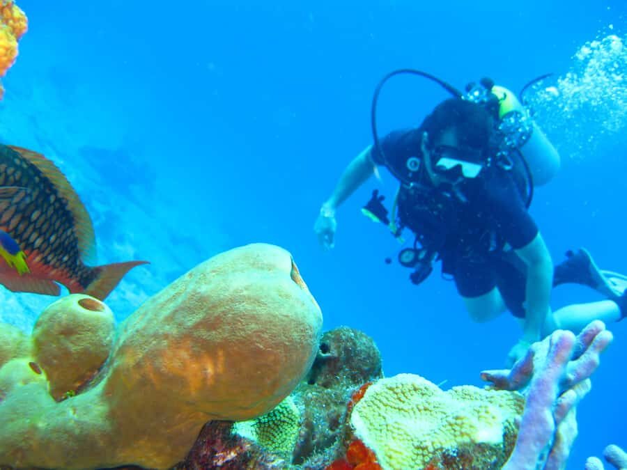 Cartagena: Scuba Diving Day Trip at Playa Blanca with Lunch - What to bring (and what not to bring) for a smoother day