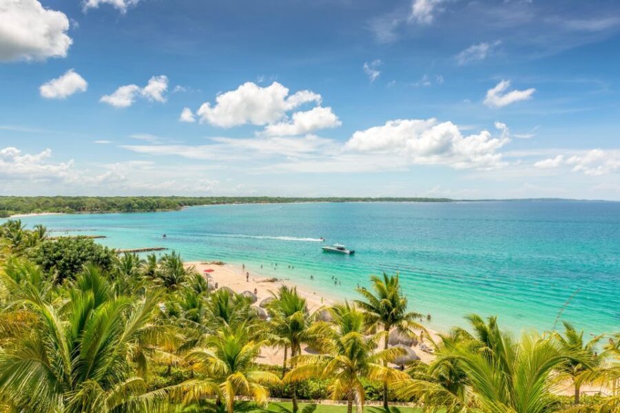 Cartagena: Snorkel, Mangroves and Playa Blanca Tour - Snorkeling on this route: what to expect (and how to protect your expectations)
