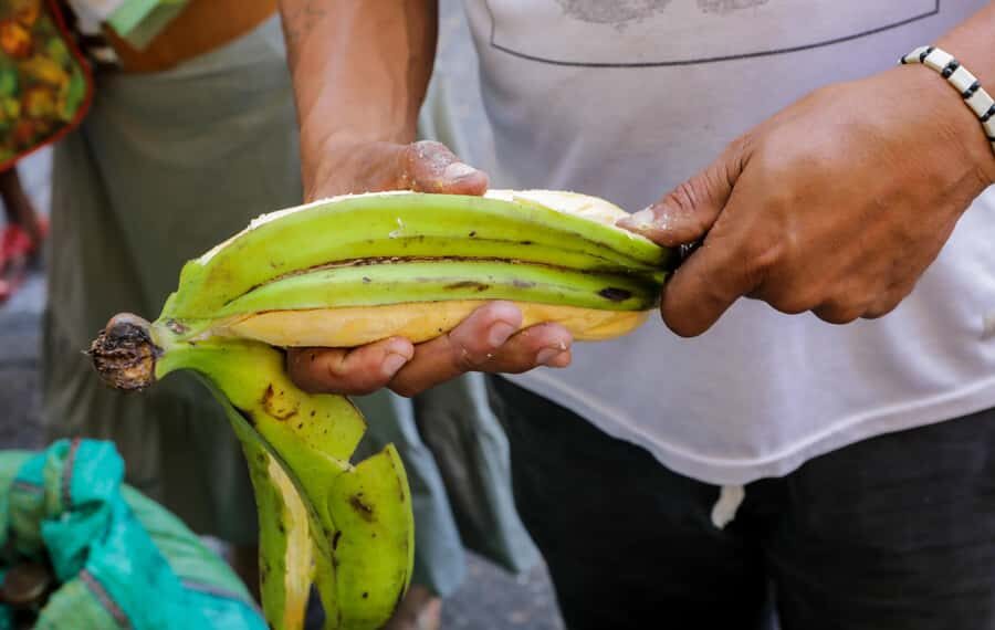 Cartagena: Street Food Walking Tour - Plantain, fruits, and the fried food festival story you’ll actually remember
