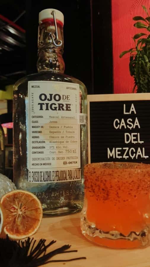 Cartagena Tasting Mezcal & Tequila - Who should book this mezcal and tequila tasting
