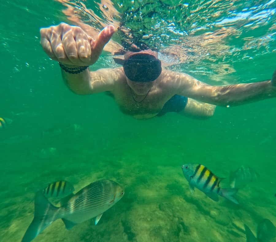 Cartagena: tour of the islands with snorkeling, lunch and plankton activity - A Full Day in Bolívar: What This Cartagena Islands Tour Really Feels Like