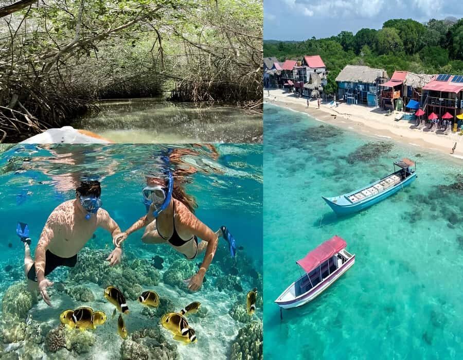 Cartagena: Visit 4 islands in a speedboat + plankton! - Why the Rosario Islands + plankton feels like a different kind of Cartagena day
