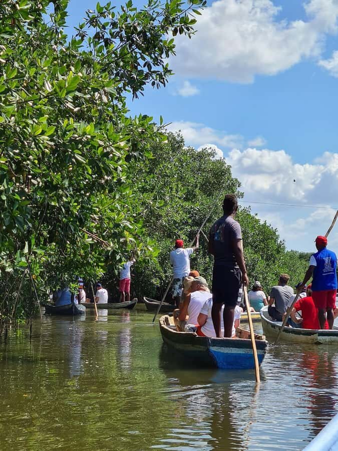 CARTAGENA: Volcan del totumo, Galerazamba and La Boquilla Mangrove Route - Totumo Mud Volcano: Medicinal Mud, Mud Removal Help, and the Reality of the Setup