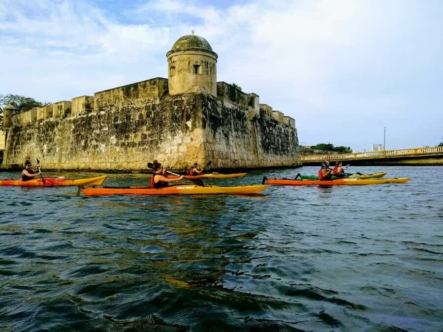 Cartagena: Walled City Kayak Tour - How Cartagena’s sea wall works: mangroves along the coastline defenses