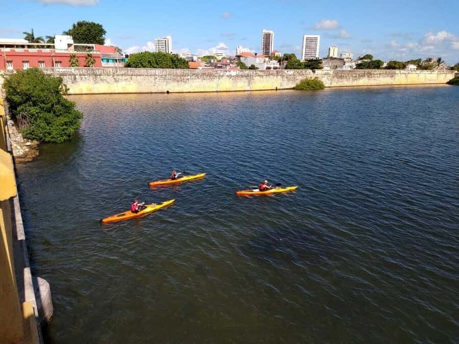 Cartagena: Walled City Kayak Tour - Bird’s island: the ending that feels like a nature show