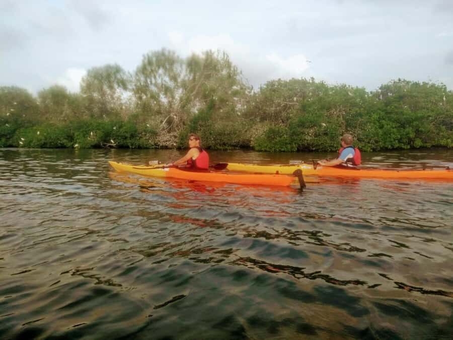 Cartagena: Walled City Kayak Tour - Guide energy and beginner paddling: what helps you feel confident