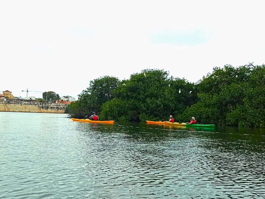 Cartagena: Walled City Kayak Tour - What the price covers ($73) and where the value is