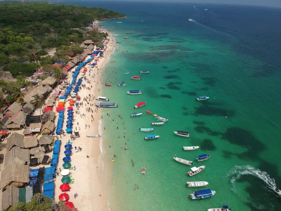 Cartagena:Daytour Aviary with entrance + Playa blanca by bus - A Bird-First Day: National Aviary Then Playa Blanca