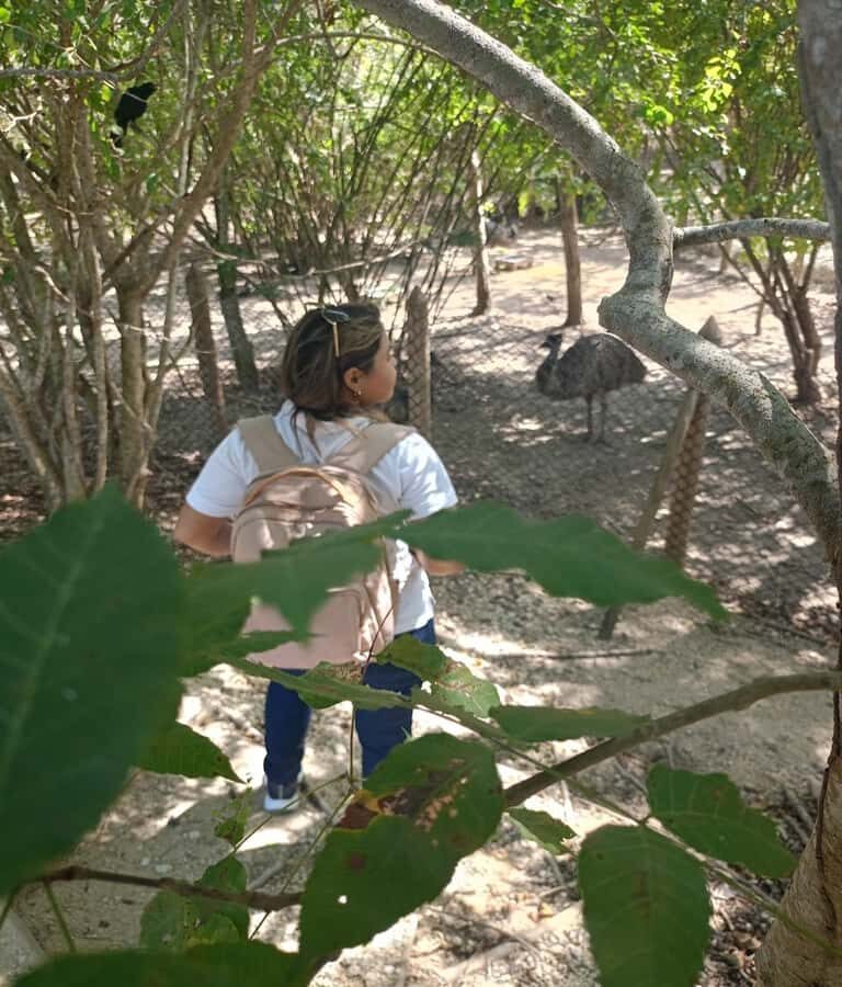 Cartagena:Daytour Aviary with entrance + Playa blanca by bus - Comfort, Heat, and Who This Tour Fits (and Who It Doesn’t)