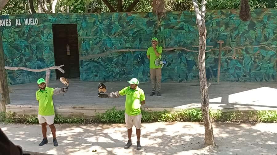 Cartagena:Daytour Aviary with entrance + Playa blanca by bus - Getting There by Bus: Pickup Windows Around Cartagena