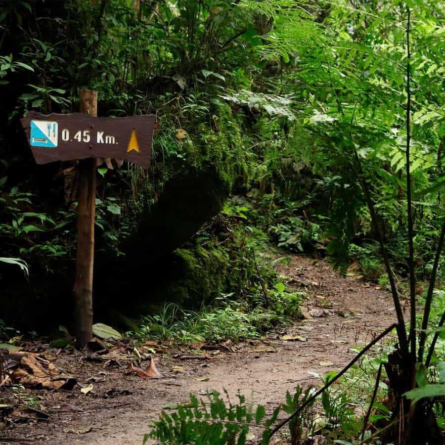 Chicaque Foggy Forest Hike - Why Chicaque’s foggy forest feels like a different world