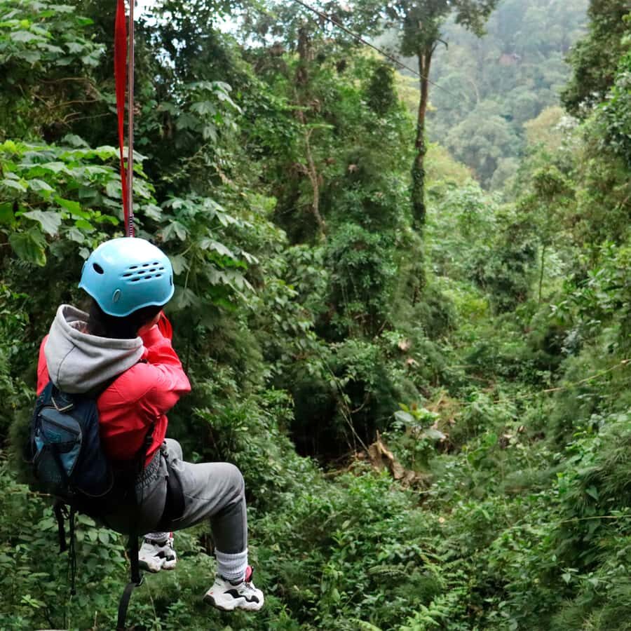 Chicaque Foggy Forest Hike - Birds, orchids, and the conservation story you can actually feel