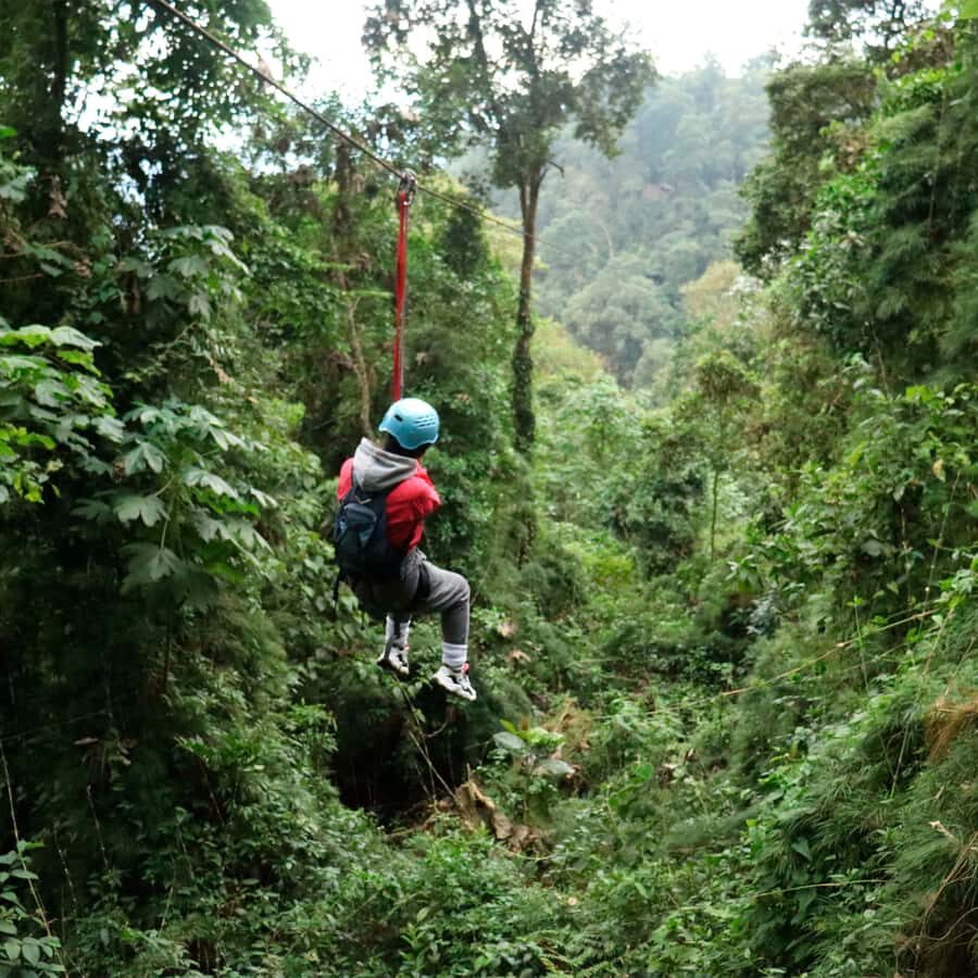 Chicaque Foggy Forest Hike - From Bogotá pickup to trail time: the real rhythm of a 7-hour day