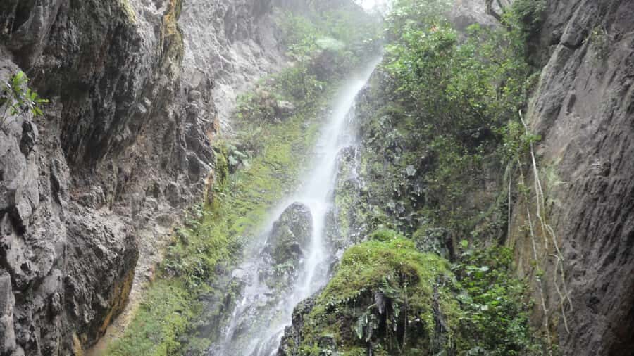 Chicaque Full-Day Trip from Bogotá - Key things that make Chicaque special