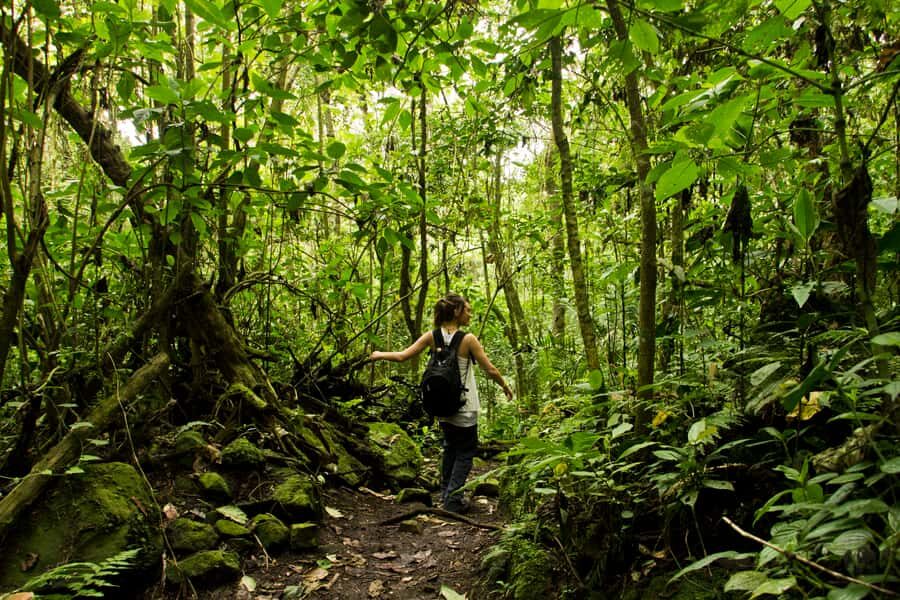 Chicaque Full-Day Trip from Bogotá - Why Chicaque works as a Bogotá escape