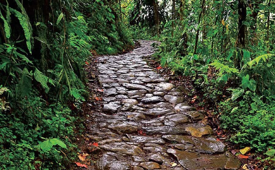Chicaque Full-Day Trip from Bogotá - Optional activities inside the park (extra cost)