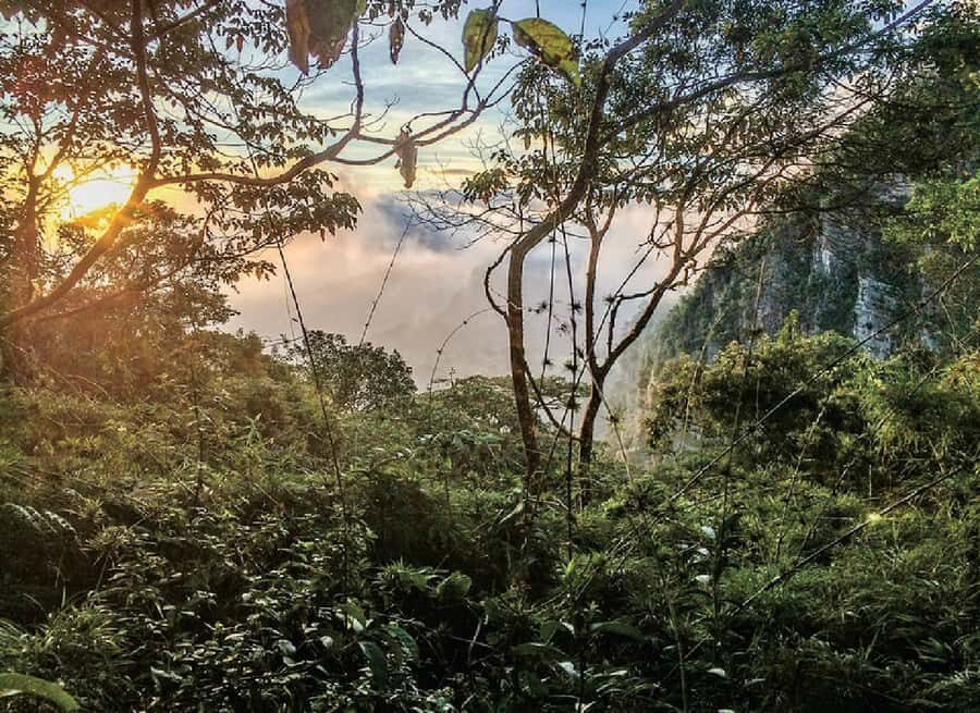 Chicaque Full-Day Trip from Bogotá - The drive, pick-up, and waiting that keeps your day simple