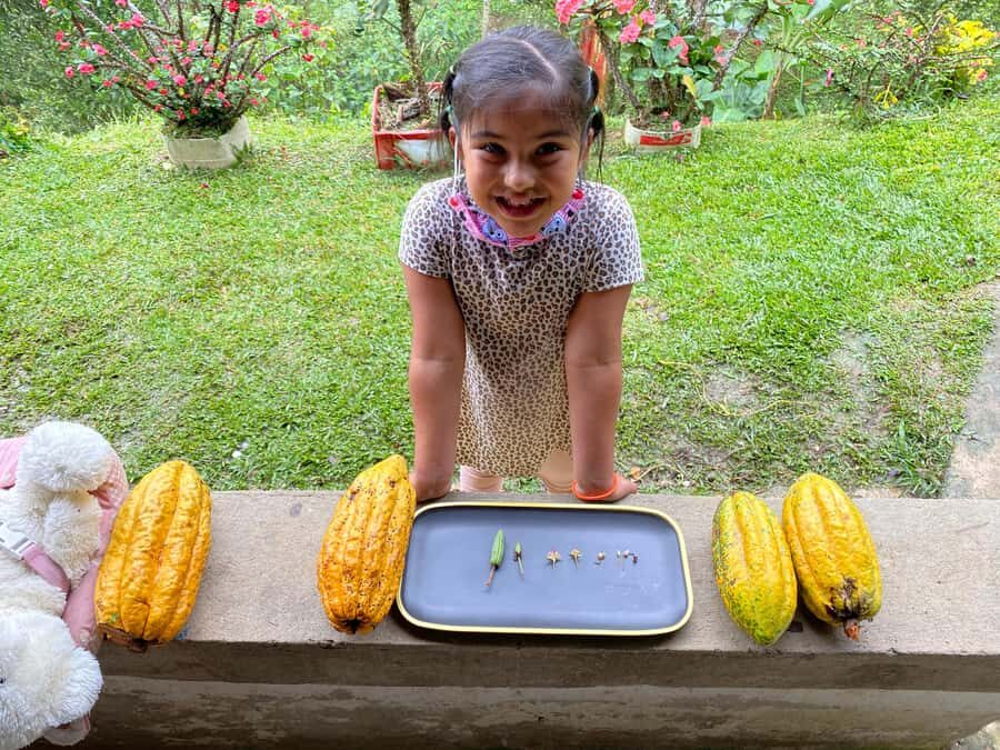 Chocolate tour near the Medellín - Who should book, and who should skip