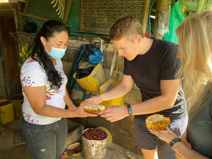 Chocolate tour near the Medellín - Barbosa farm visit: learning the real cocoa workflow