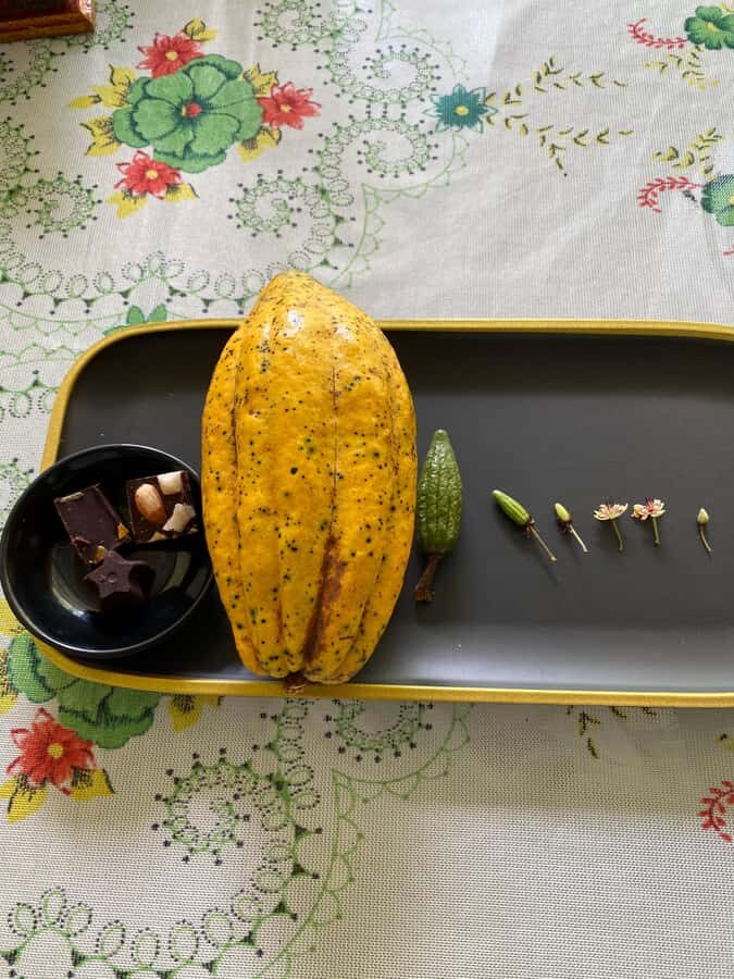 Chocolate tour near the Medellín - The hands-on chocolate-making experience (and why it sticks)