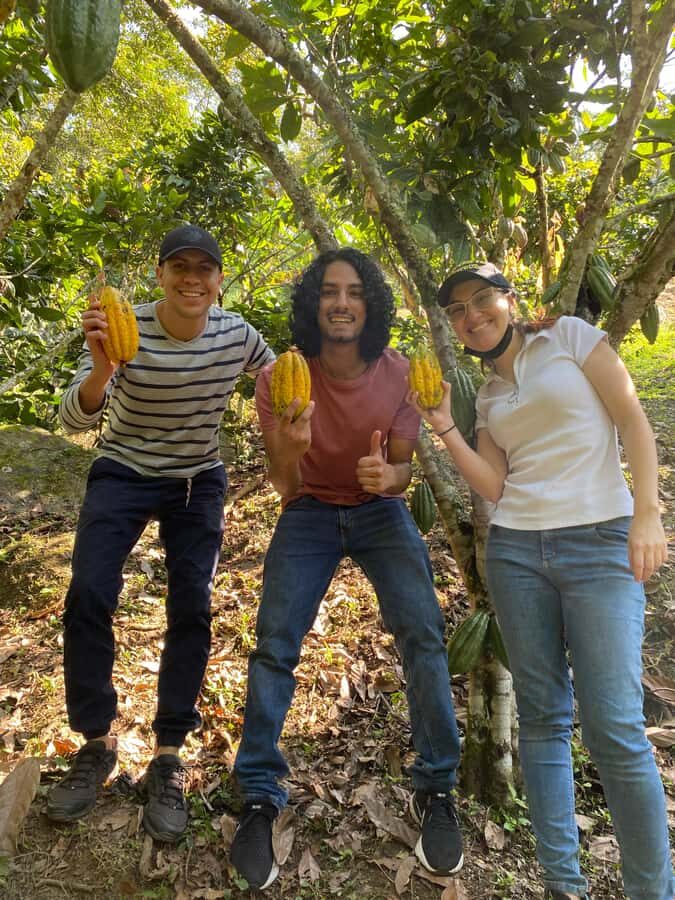 Chocolate tour near the Medellín - Price and value: what $126 buys you