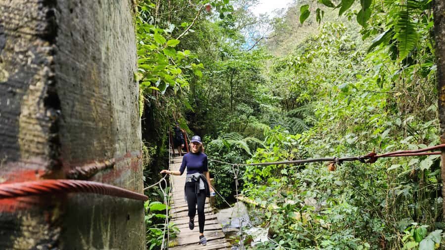 Cocora Valley: Route of the Hummingbirds + breakfast & lunch - Hummingbird house: the moment birding turns electric