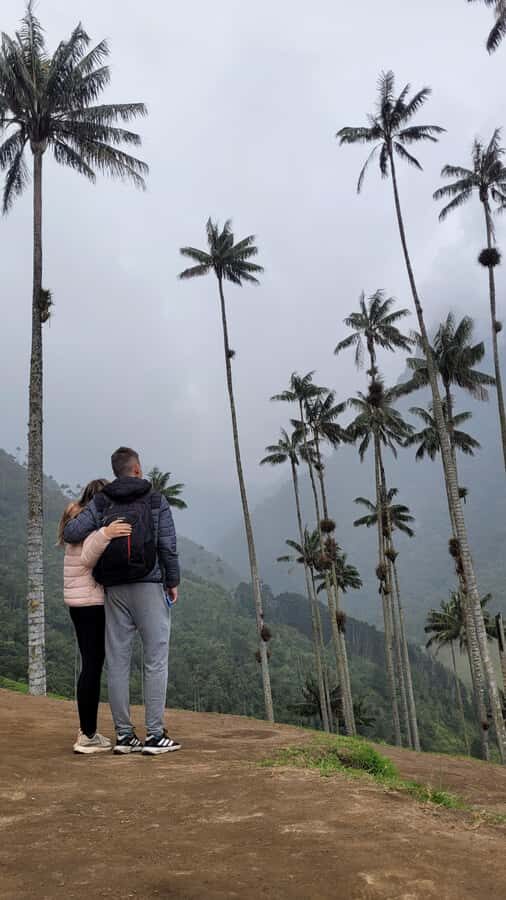Cocora Valley: Route of the Hummingbirds + breakfast & lunch - The 4.5km descent: palm shade, bird time, and a calmer pace