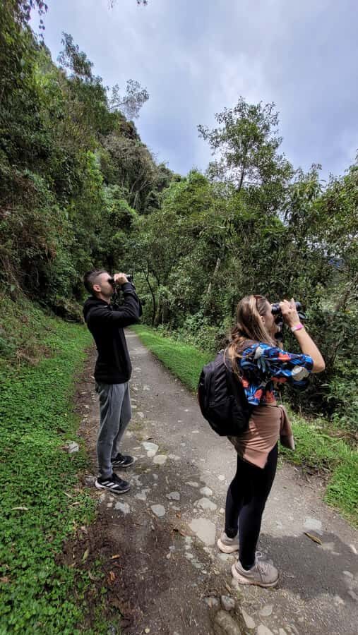 Cocora Valley: Route of the Hummingbirds + breakfast & lunch - Fitness, weather, and what to pack for this kind of day