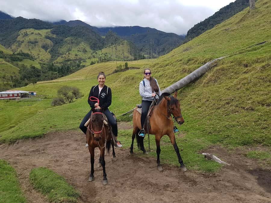 Cocora Valley: Salento & Private Horseback Riding Tour - 1 hour of horseback riding: viewpoints, pacing, and guide stories
