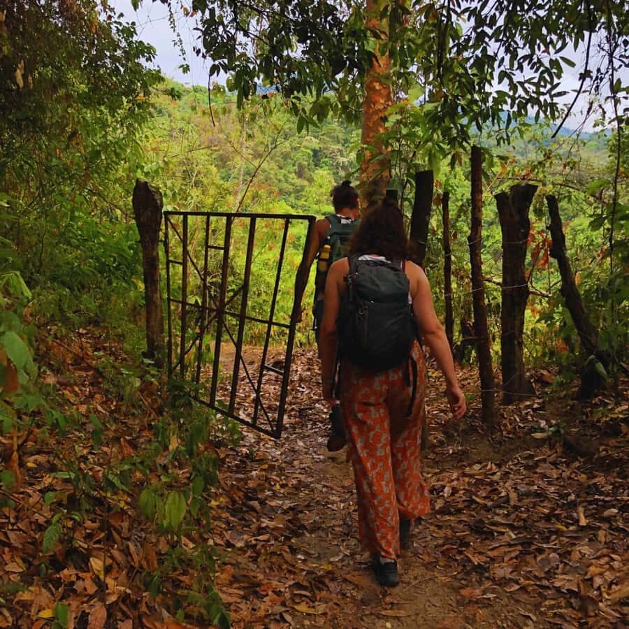 Coffee, Cocoa and Trekking Tour in Minca: Nature, Crops and Production - Puente de Minca and Minca Park: Tropical Forest Trails With Real Local Context