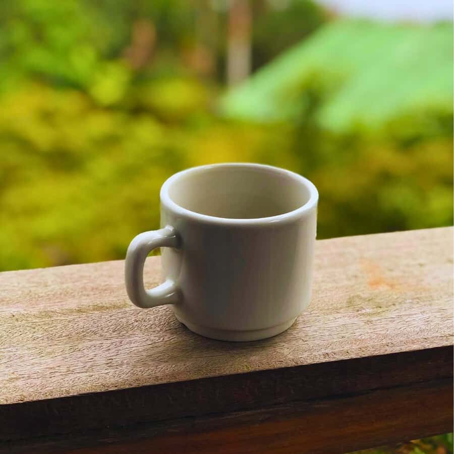 Coffee, Cocoa and Trekking Tour in Minca: Nature, Crops and Production - Views, River Stops, and Possible Waterfall Time