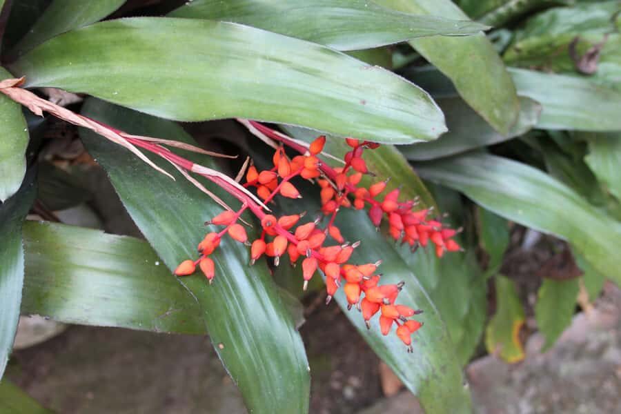 Coffee Experience: Hacienda Coloma Tour from Bogotá - Key highlights I’d put at the top