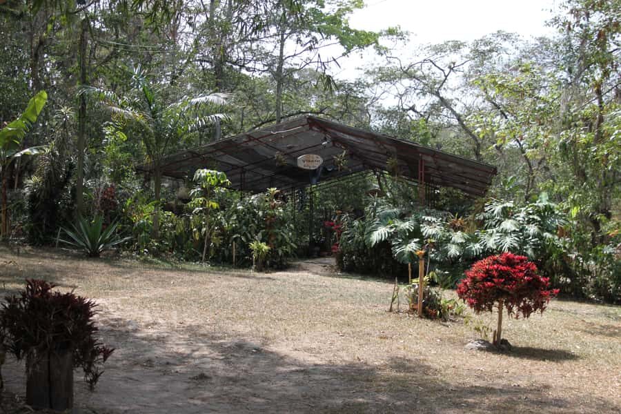 Coffee Experience: Hacienda Coloma Tour from Bogotá - What the Day Feels Like: Pace, Comfort, and Practical Tips
