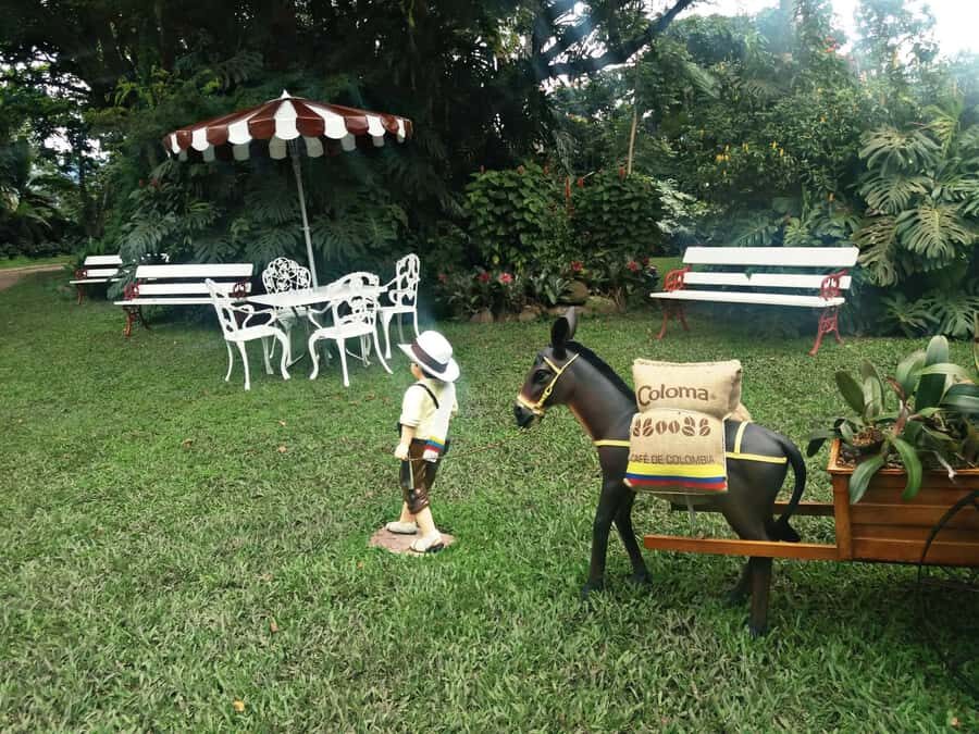 Coffee Experience: Hacienda Coloma Tour from Bogotá - Hacienda Coloma: A Real Coffee Production Walk-Through