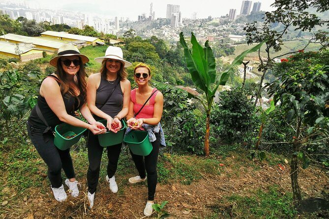 Coffee Farm & ATVs Private Tour in Medellin: Stunning Views & Fun - Pickup to Guarne: the ride to the starting point