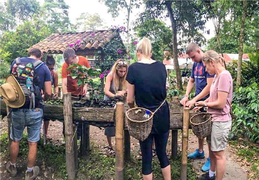 Coffee Farm Tour at Finca El Ocaso from Salento - Coffee Country Pickup: Salento to Finca El Ocaso