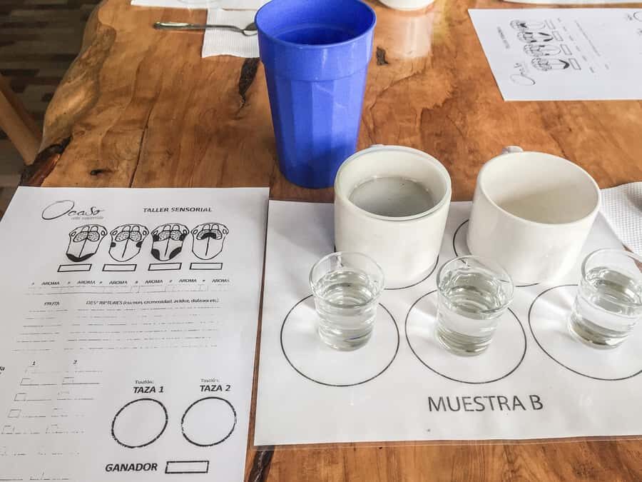 Coffee Farm Tour at Finca El Ocaso from Salento - Coffee Tasting With a Real Flavor-Spotting Method