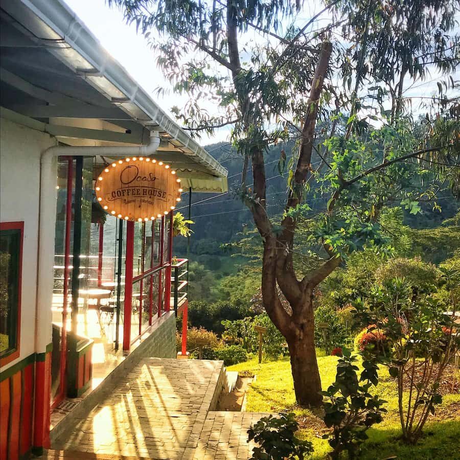 Coffee Farm Tour at Finca El Ocaso from Salento - Should You Book Coffee Farm Tour at Finca El Ocaso from Salento?
