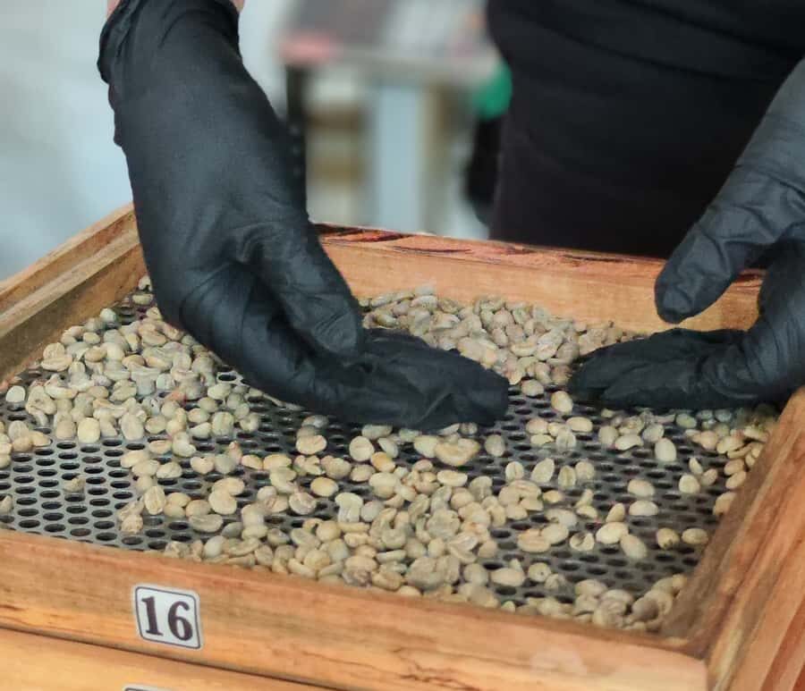 Coffee Tasting Experience in Cali - Who Should Book This Coffee Tasting Experience