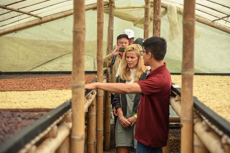 Coffee Tour at Finca El Ocaso Salento: Traditional Spanish Farm - Storage, threshing, and commercialization: from processed coffee to market