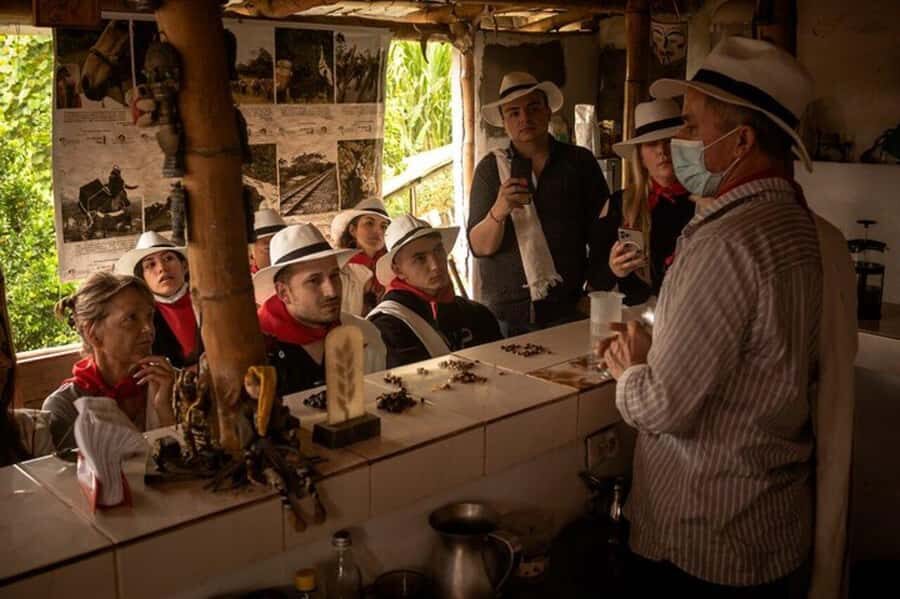 Coffee Tour from Medellin with Lunch and Coffee Tasting - Price and value: why $86 can make sense for a 6-hour coffee day