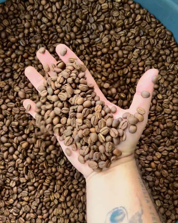 Coffee Tour Salento-Ocaso Farm- English Tour - What You Learn in 1.5 Hours: From Coffee Varieties to Quality Extraction