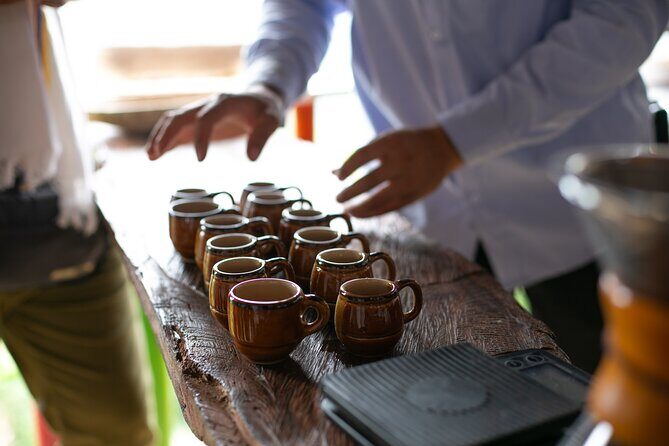 Coffee Tour with arrival on horseback and sugar cane processing - Sugar cane processing on a coffee day: what to expect