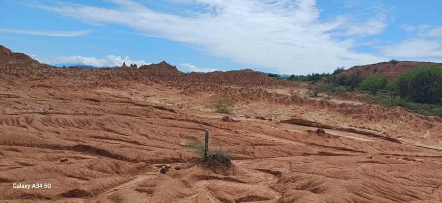 Community and Biodiversity Tour of the Tatacoa Neiva Desert - Price and value: what $56 covers, and what you should budget on top