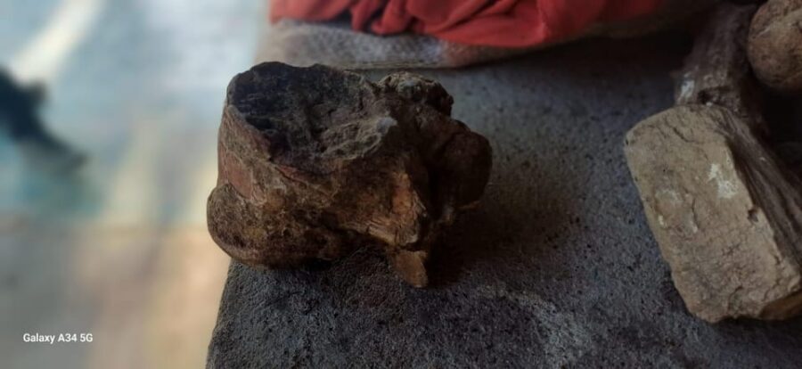 Community and Biodiversity Tour of the Tatacoa Neiva Desert - Red Desert and fossils: the iron-soaked walk that people remember